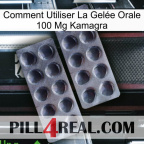 Comment Utiliser La Gelée Orale 100 Mg Kamagra 31